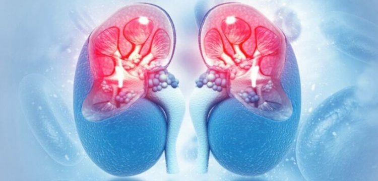 What to Expect After a Diagnosis of Kidney Disease?